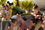 Walt Disney World Resort vacation