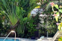 The Banyan Tree Resort Image 11