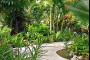 The Banyan Tree Resort Image 13