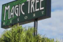 Magic Tree Resort image