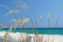 Wyndham Vacation Resorts Panama City Beach photos