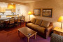 Celebrity Resorts Steamboat Springs - Suites vacation